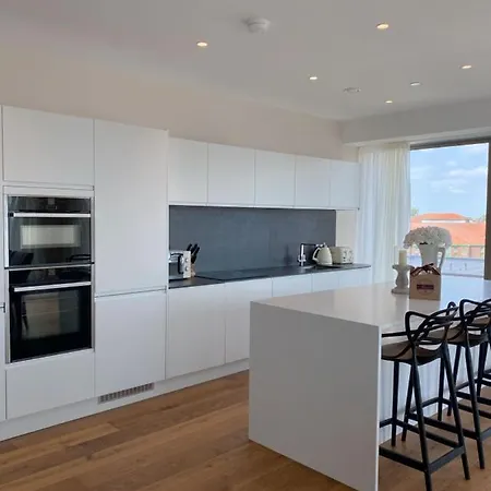 The Seventh Storey Penthouse Apartment *